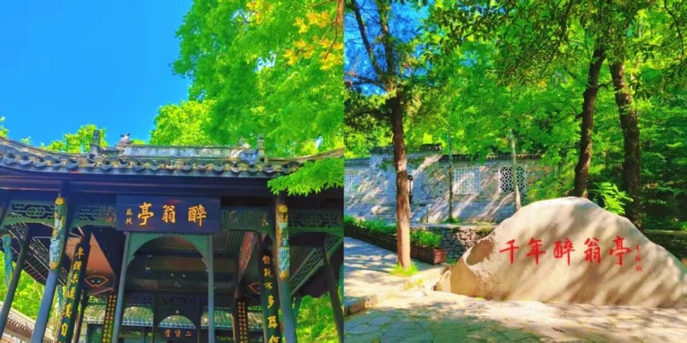 1761811659747046569.jpg 5555.jpg